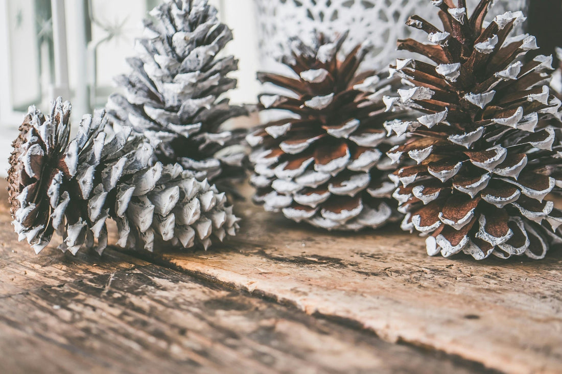 Four white-painted pine cones arranged on a rustic wooden surface.
