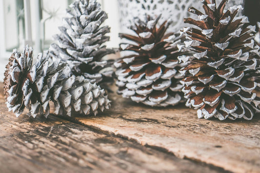 Four white-painted pine cones arranged on a rustic wooden surface.