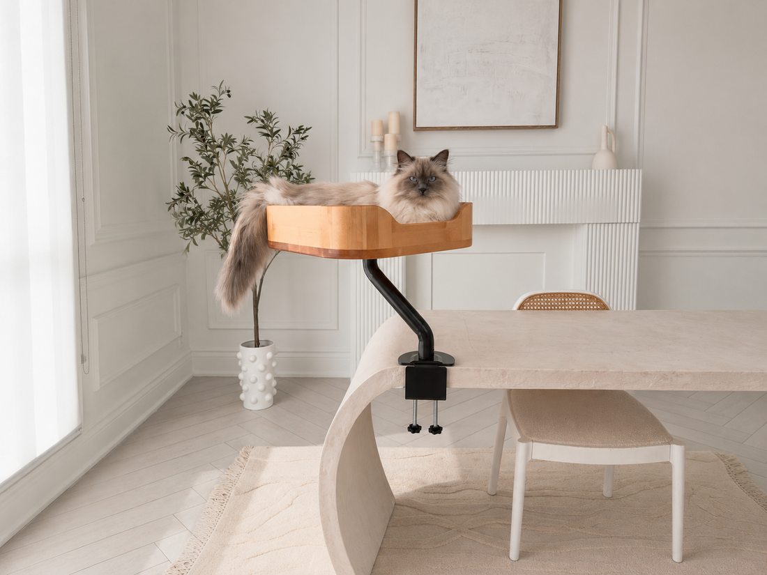 Why We Built Our Cat Bed From Real Birchwood (And What That Means for Your Cat)