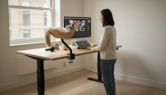 Does a Desk Cat Bed Work With Your Desk? UPLIFT, FlexiSpot, IKEA, and More.