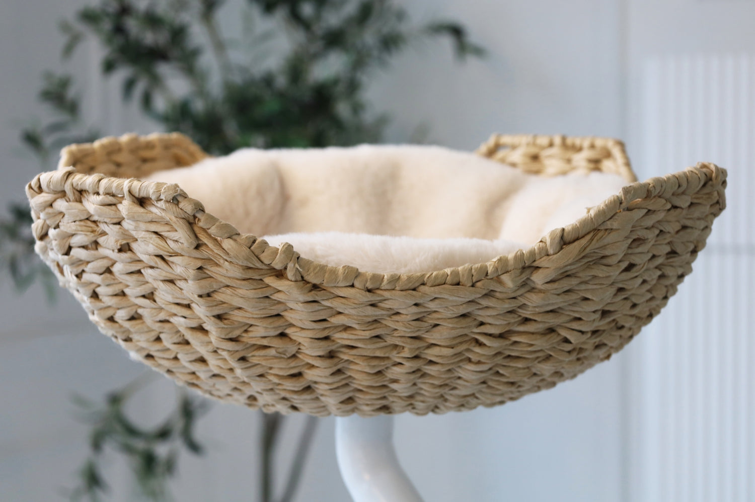 Empty handwoven cat bed from ERGO PURRCH™ with a padded interior, mounted on a white stand in a modern home office with greenery in the background.