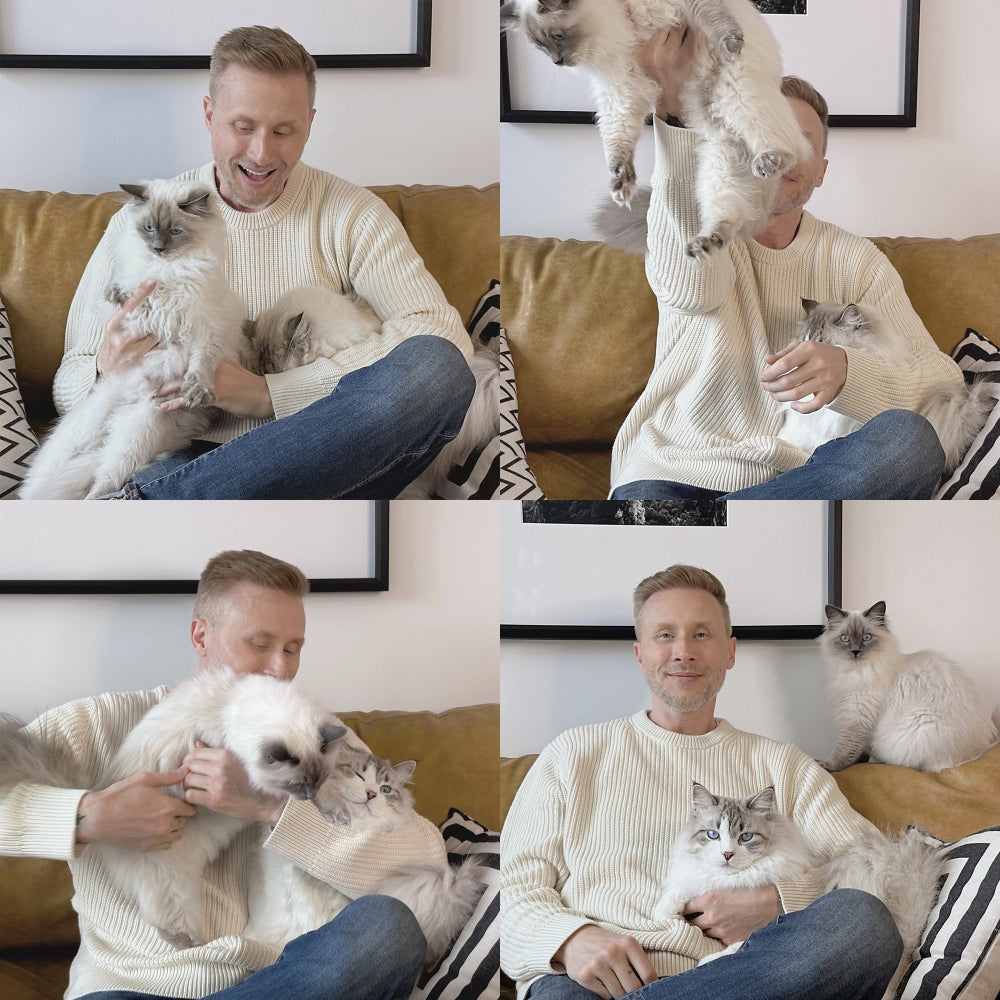 Collage of a man on a couch with two fluffy cats, showing different moments: struggling to hold a squirming cat, lifting a cat that is trying to escape, cuddling both cats, and sitting calmly with one cat on his lap and the other beside him, in a cozy living room setting with framed artwork on the wall.