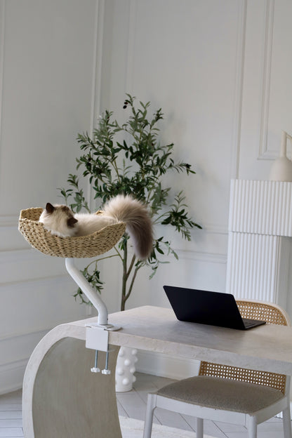 Fluffy cat relaxing in a handwoven cat bed from ERGO PURRCH™, mounted on a white desk in a stylish home office with a laptop and a potted plant in the background.