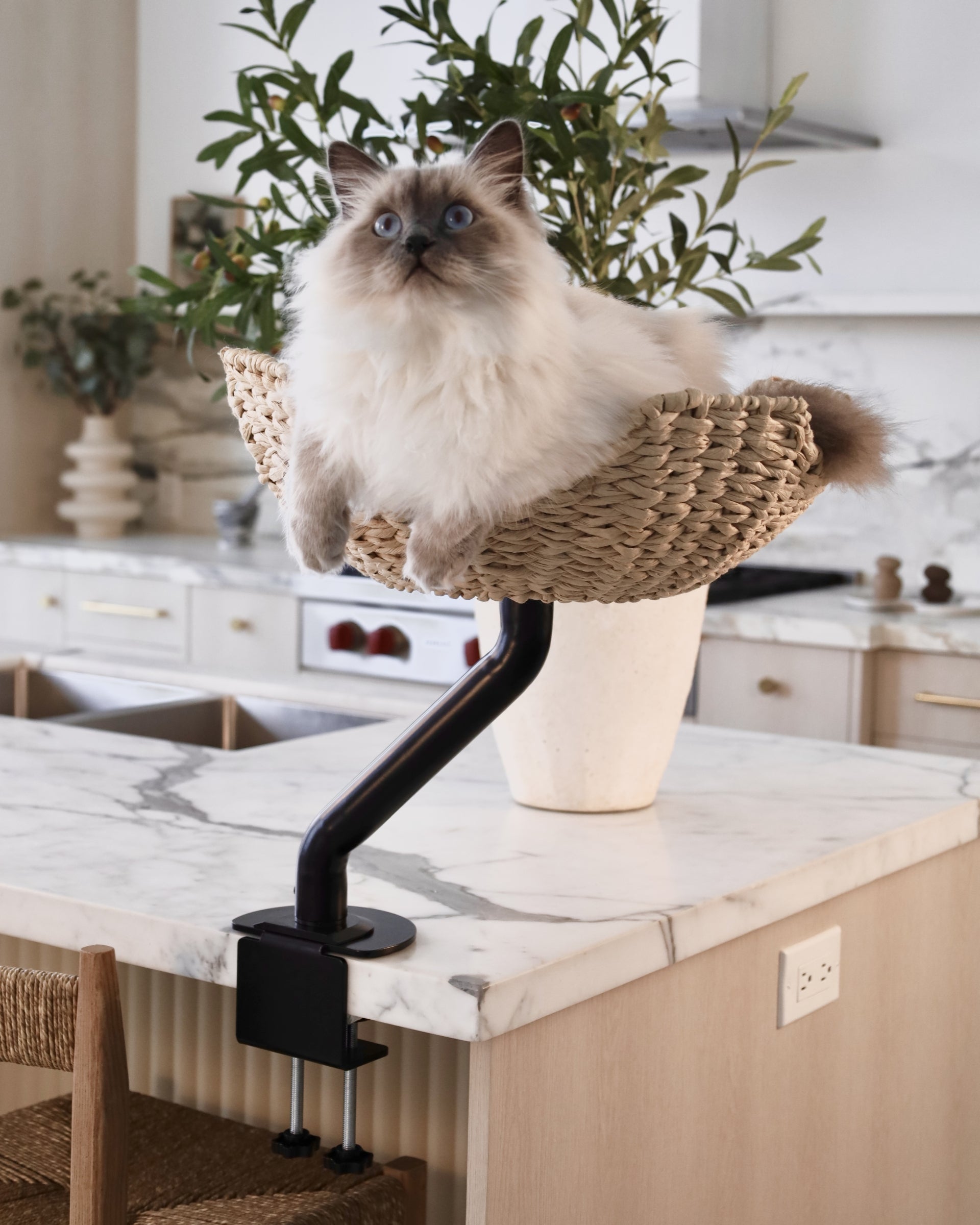 ERGO PURRCH - The Sustainable Desk-Mounted Cat Bed