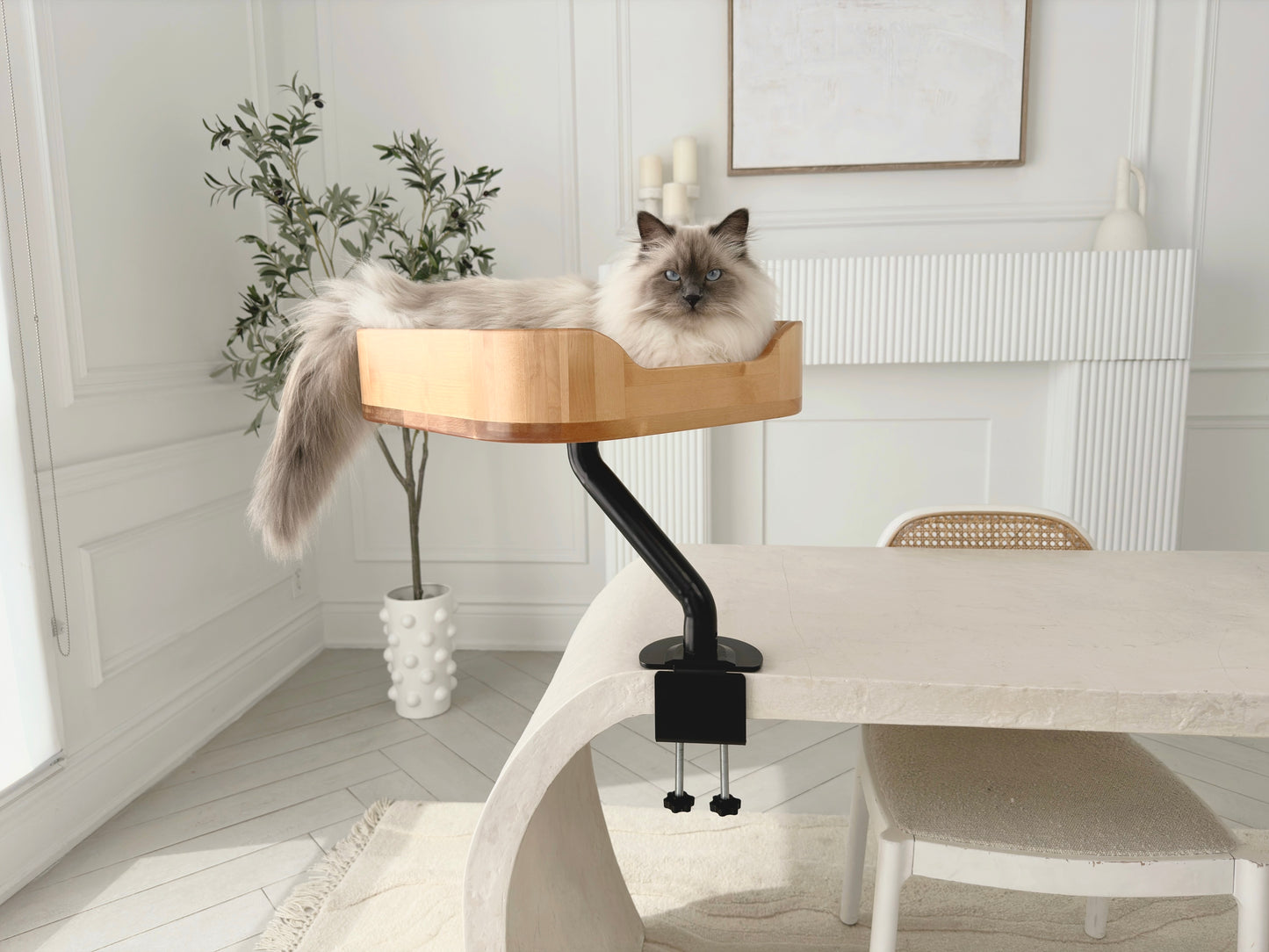 ERGO PURRCH - The Sustainable Desk-Mounted Cat Bed