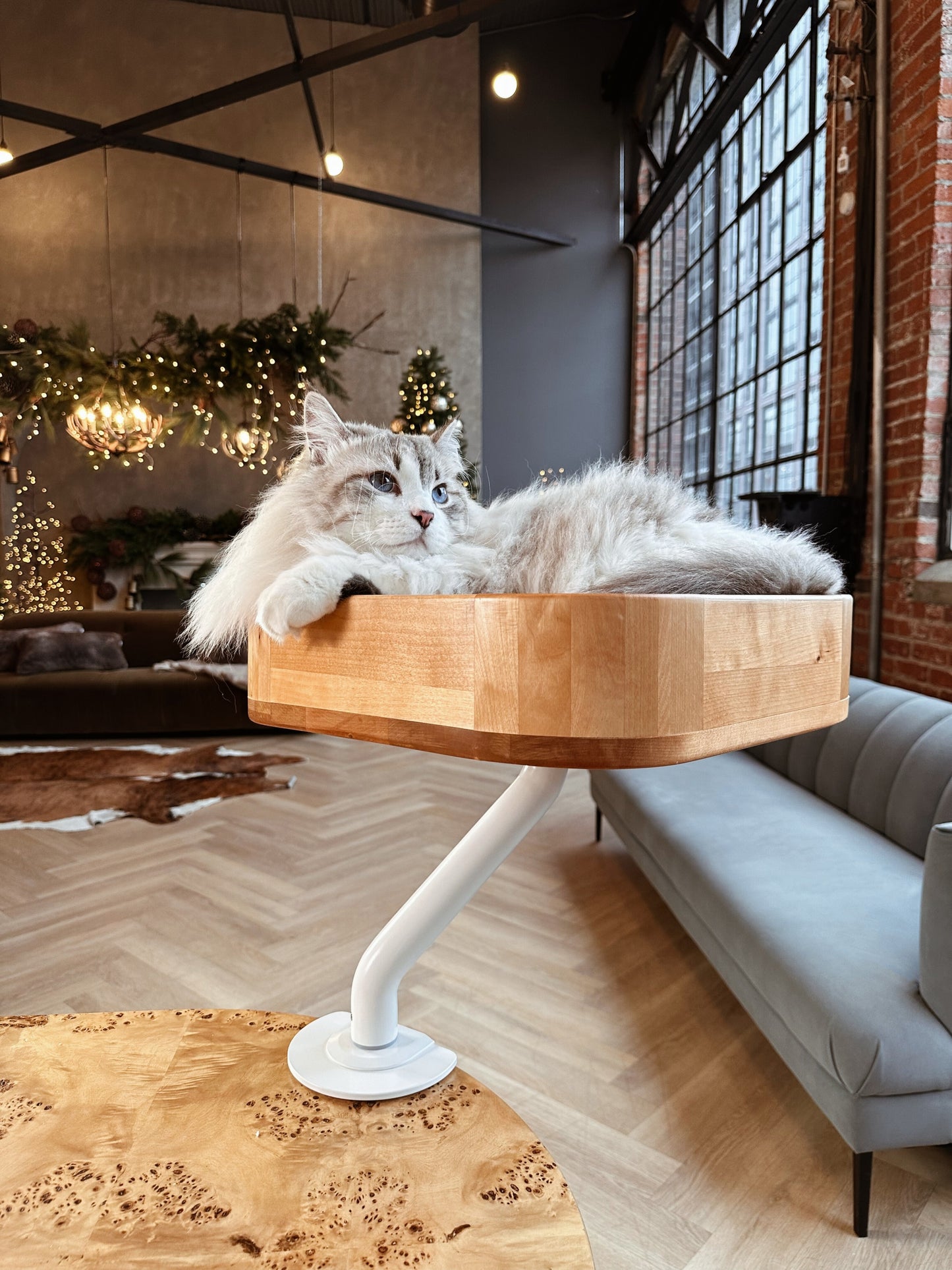 Large Siberian cat lounging in a wooden ERGO PURRCH™ desk-mounted cat bed with a white adjustable arm, set in a stylish, holiday-decorated loft with tall industrial windows and warm festive lighting.