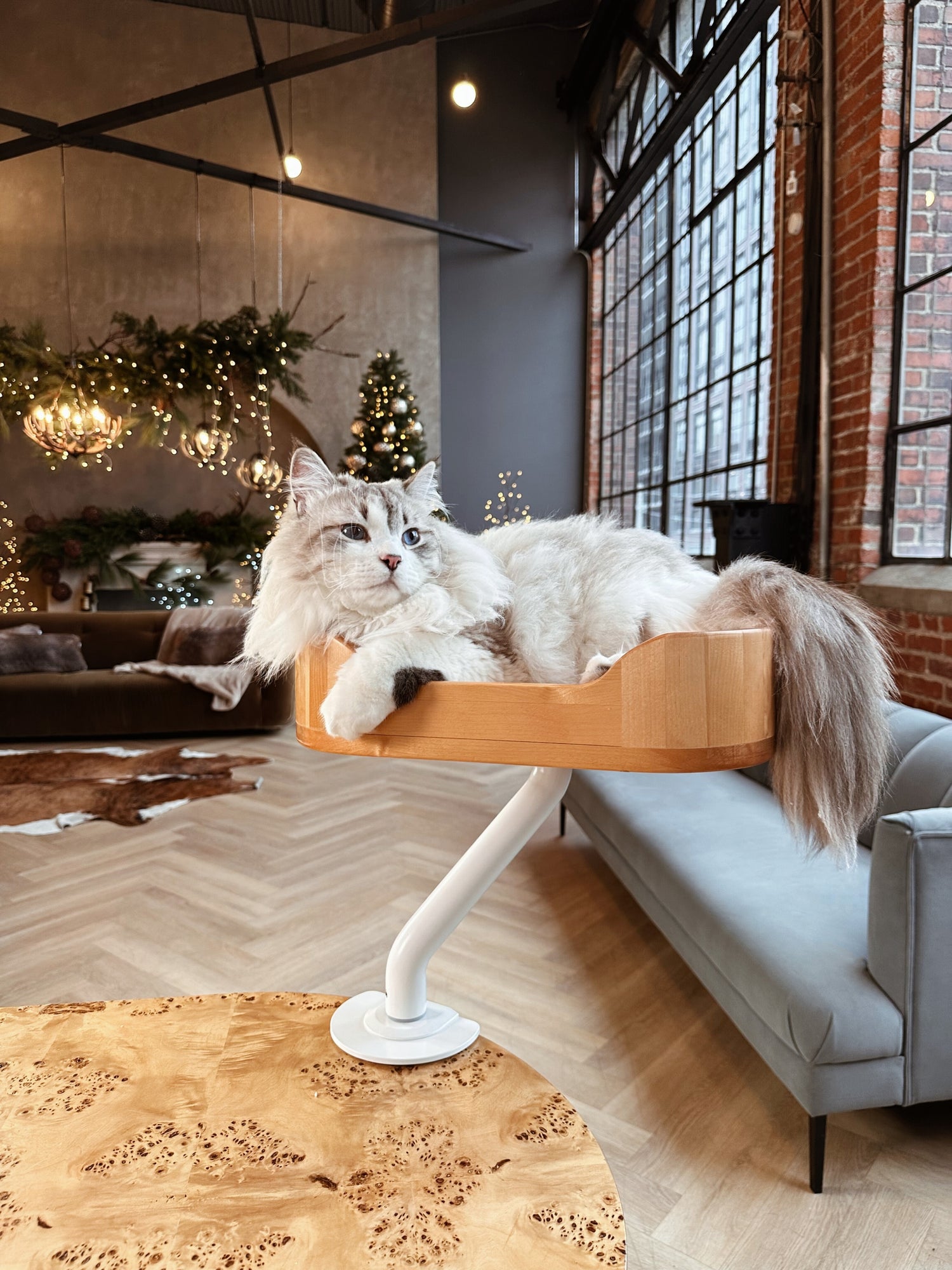 Graceful Siberian cat lounging in a wooden ERGO PURRCH™ desk-mounted cat bed with a sleek white arm, set in a stylish loft adorned with holiday lights, seasonal greenery, and contemporary furniture.