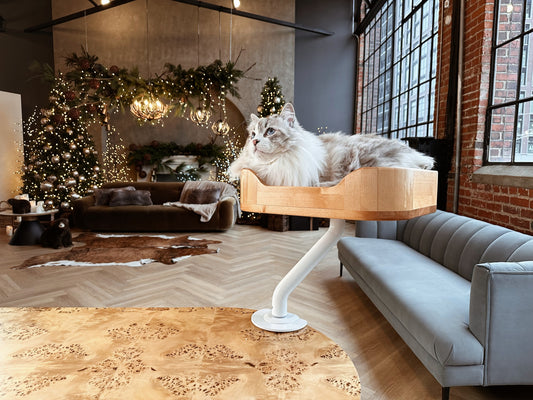 Elegant Siberian cat relaxing in a wooden ERGO PURRCH™ desk-mounted cat bed with a white arm, in a beautifully decorated loft with holiday lights, festive greenery, and modern furniture.