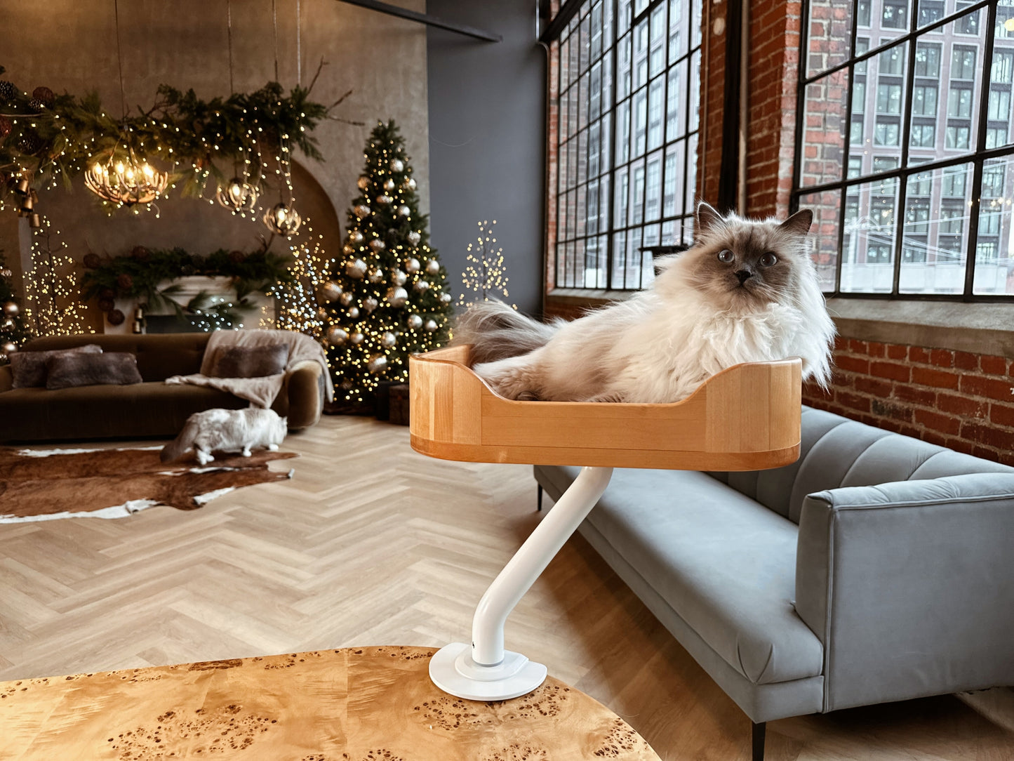 Fluffy Siberian cat lounging in a wooden ERGO PURRCH™ desk-mounted cat bed with a white arm, set in a holiday-themed loft with festive lights, a Christmas tree, and cozy decor.