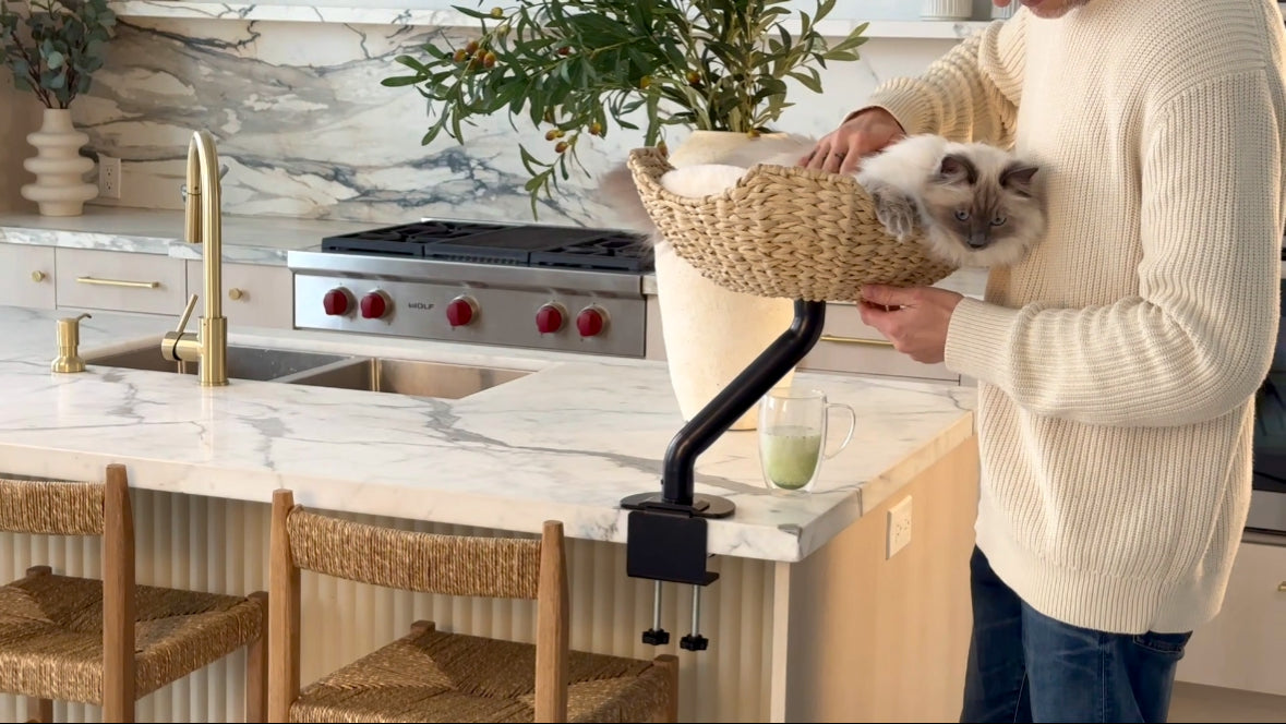 Video demonstrating the setup and features of the ERGO PURRCH™ desk-mounted cat bed, showcasing its easy installation and ergonomic design for keeping cats close while working.